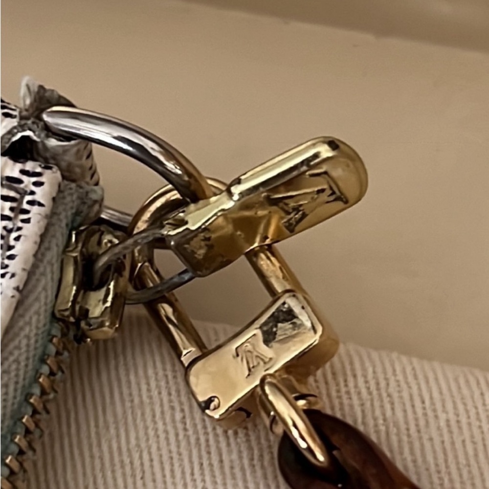 Louis Vuitton Bag - Picture 4 of 10